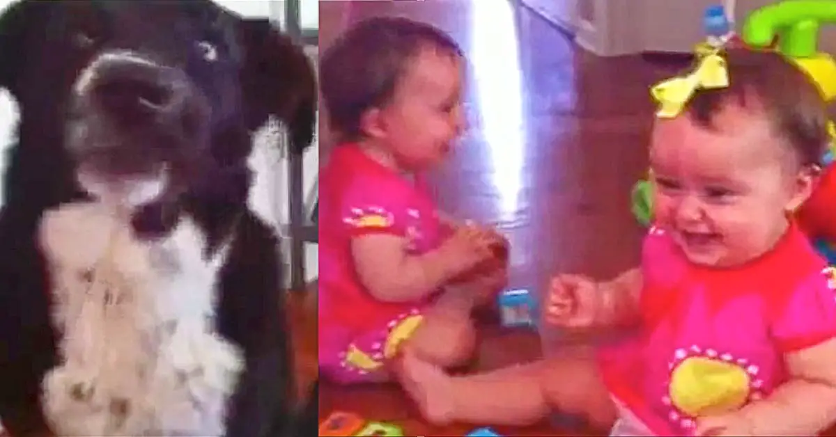 Twin Babies Laugh at Dog