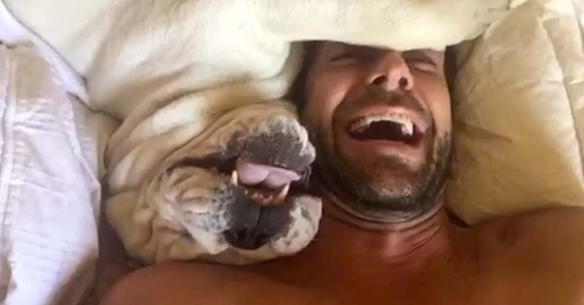 Dog growls in the morning