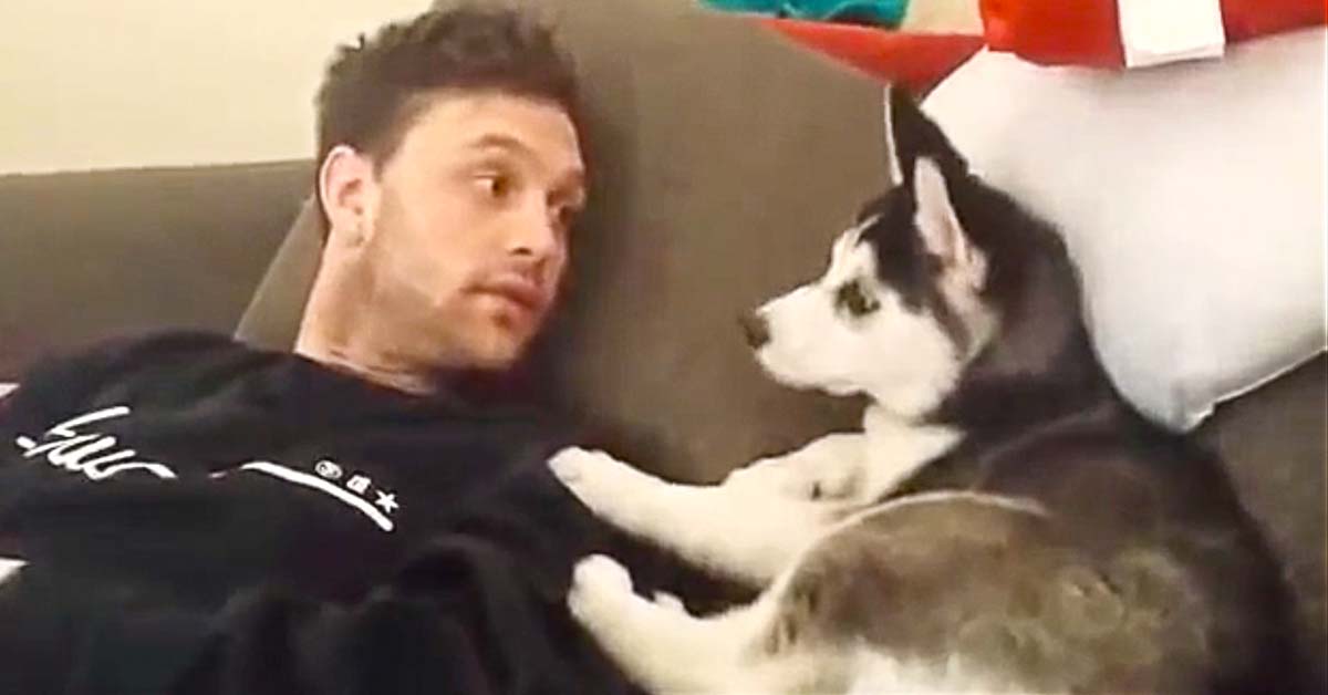 Dog and Dad Talk