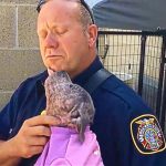 Firefighter reunited with puppy