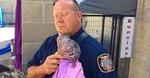 Firefighter reunited with puppy