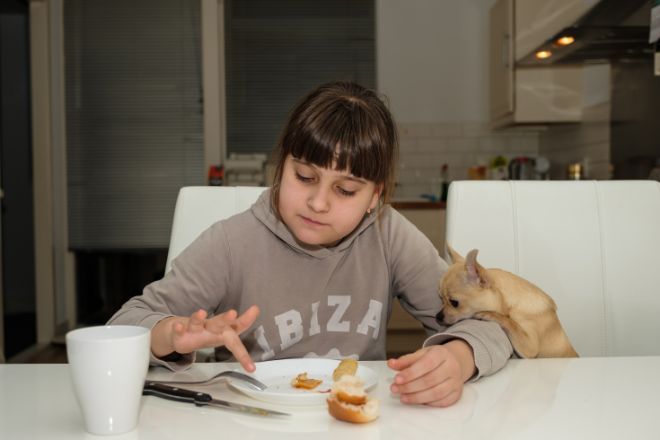 Dog Begging for Food