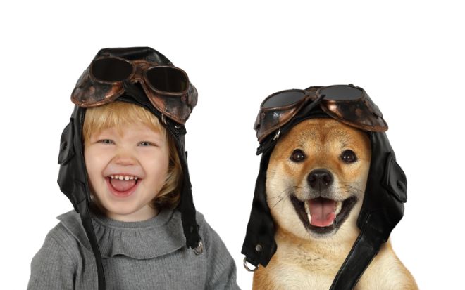 Shiba Inu and Kid