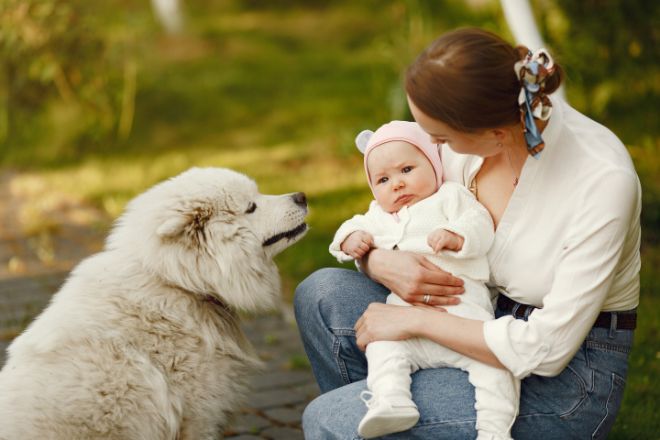 dog and baby