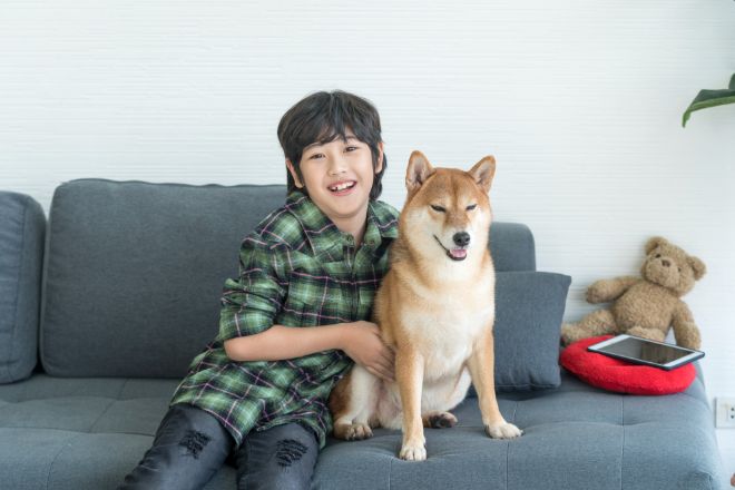 Shiba Inu and Kid