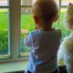 baby and dog watch duck