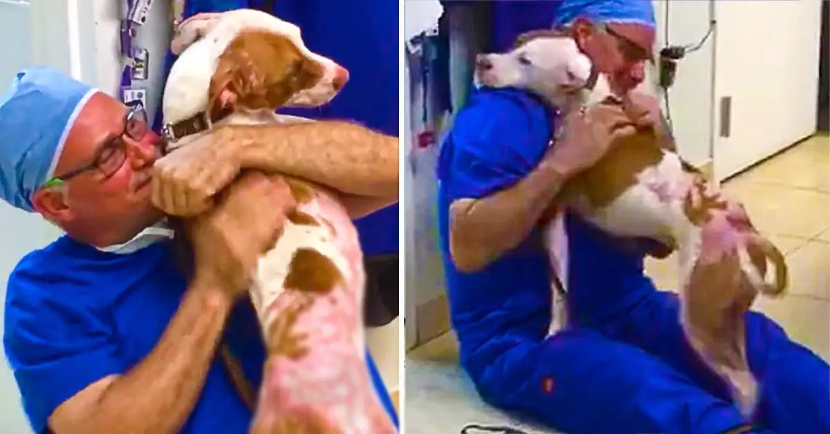 dog thanks vet