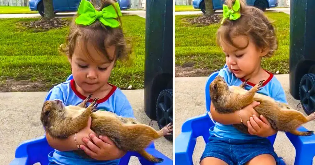 Girl with prairie dog