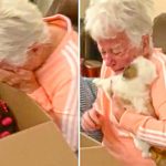 grandma surprised with puppy