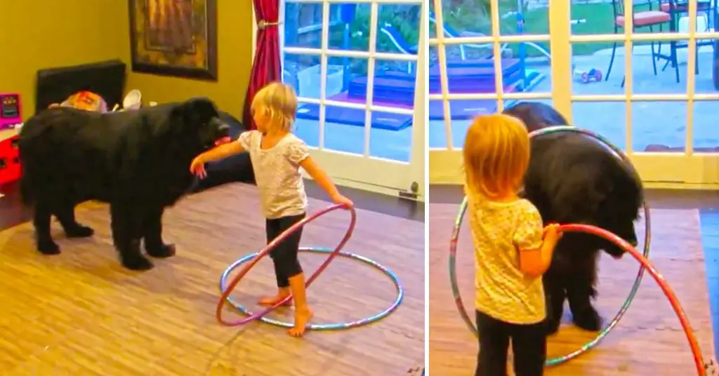toddler teaches hula hoop
