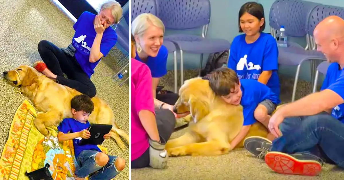 autistic boy meets dog