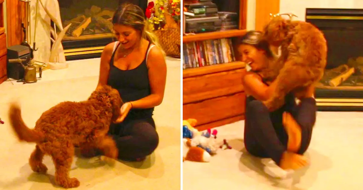 college girl reunites with dog