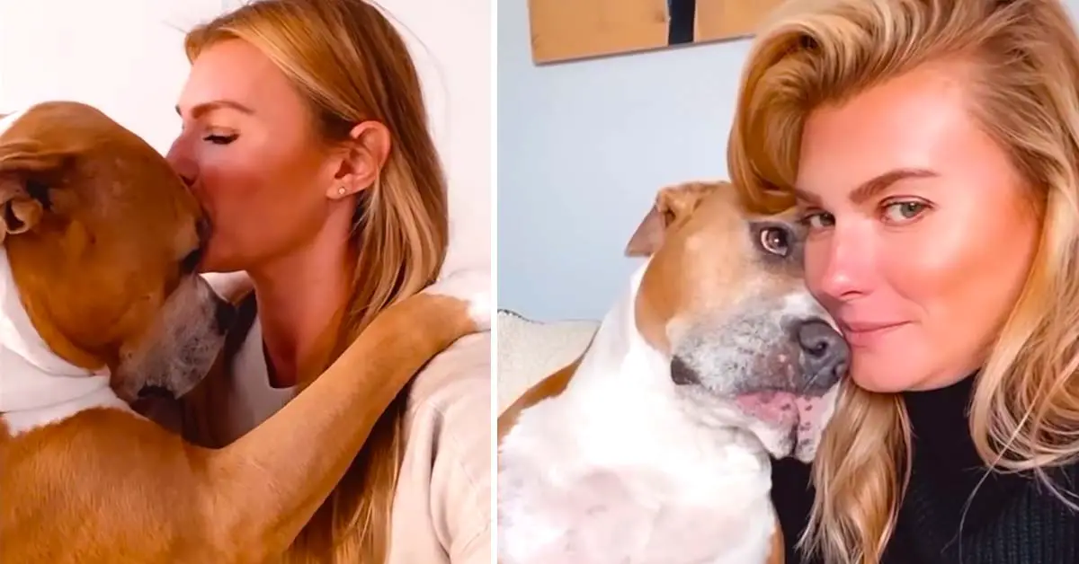 dog loves hugs