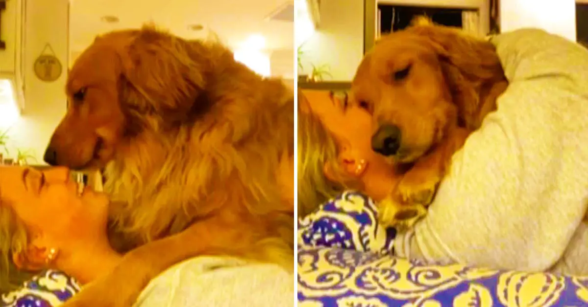 affectionate dog