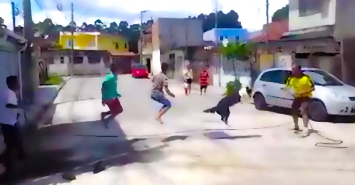 Dog Jumping Rope With Kids Makes It Look Easy