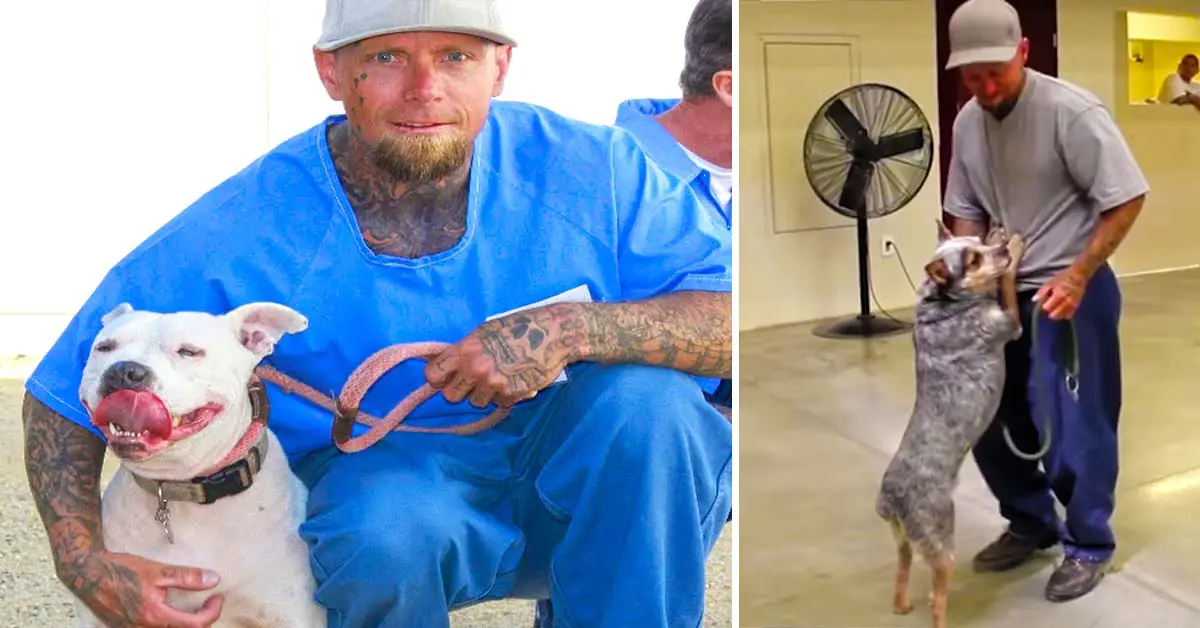 dog and prisoner