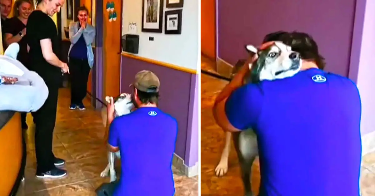 dog reunited