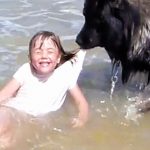 dog saves girl