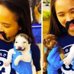 puppy with mustache