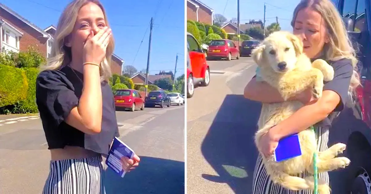 Emotional Girl Meets Adopted Dog For The First Time