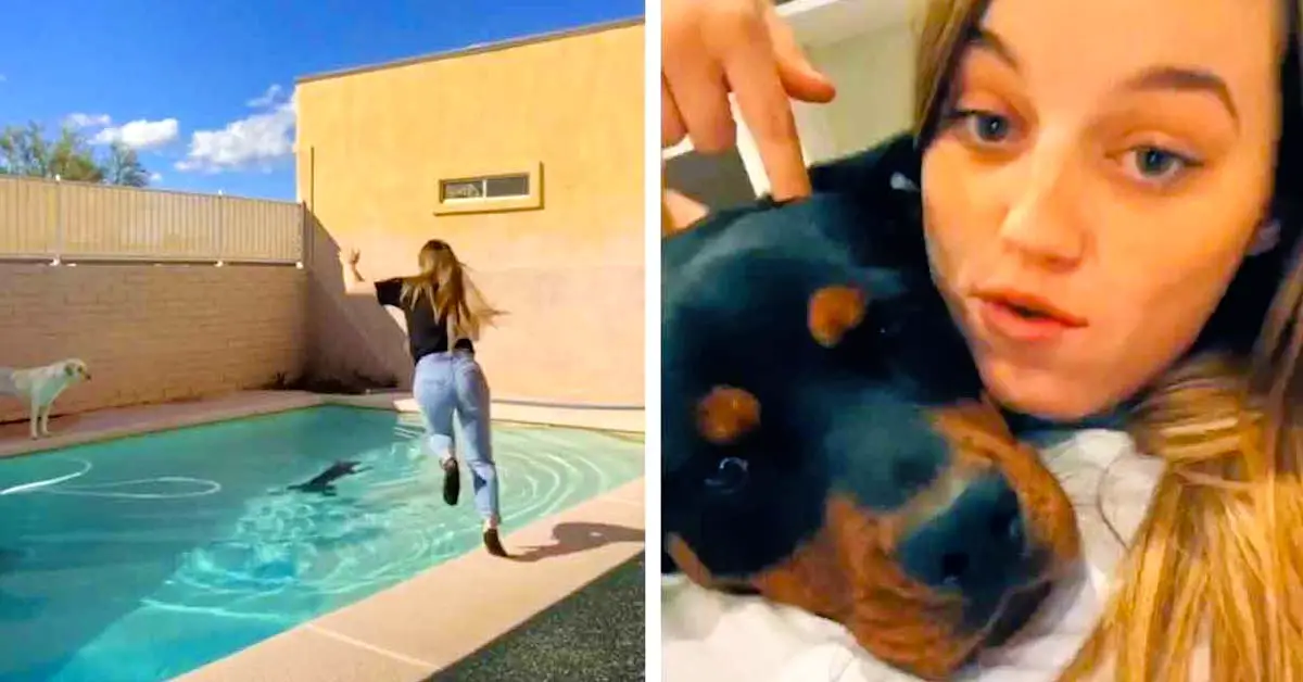 Teenage Girl Saves Dog From Drowning In Pool
