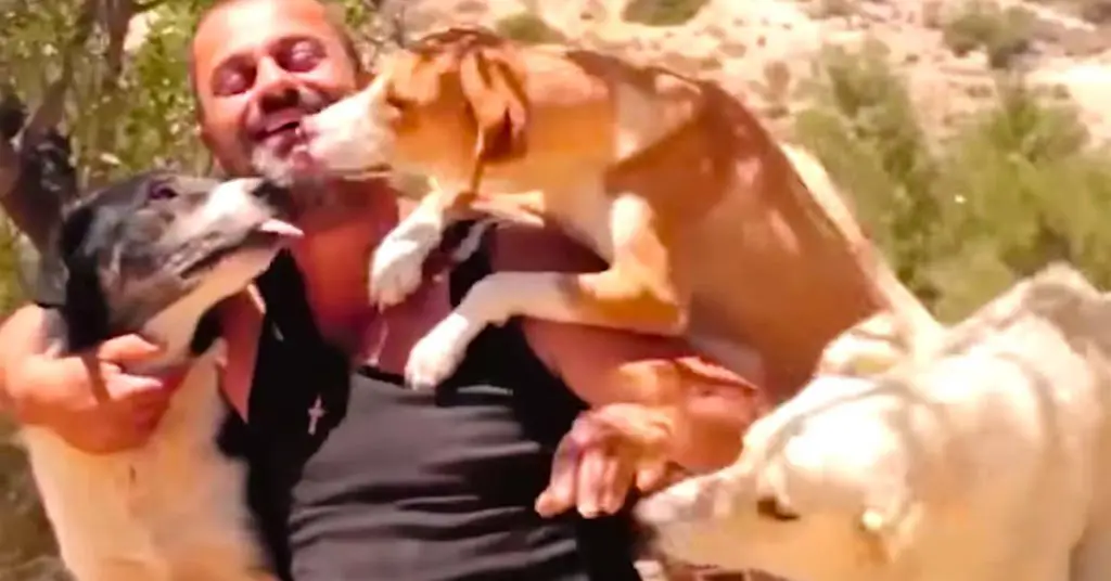 man rescues dogs
