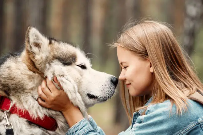 malamute and girl