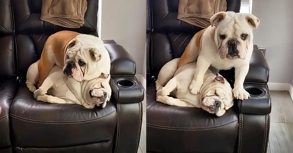 no personal space