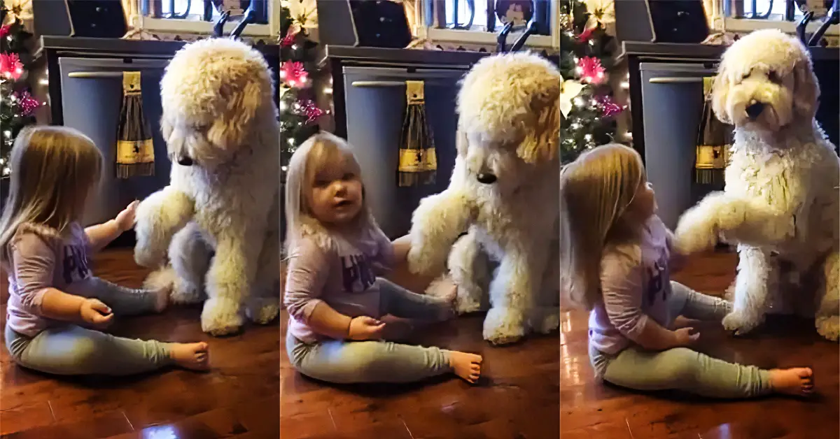 girl trains puppy