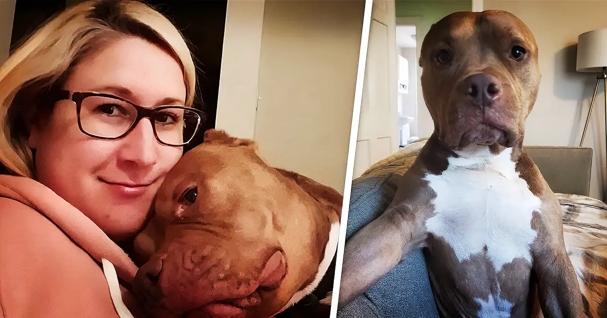 dog thinks he's human