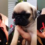woman surprises husband with puppy