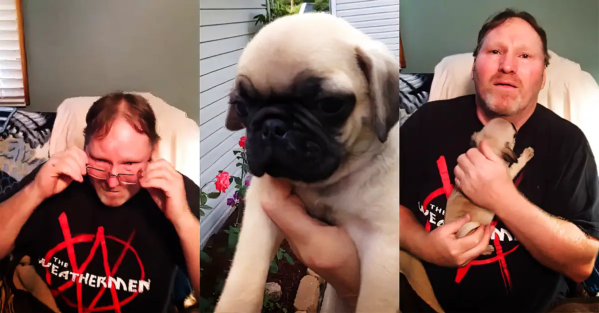 woman surprises husband with puppy