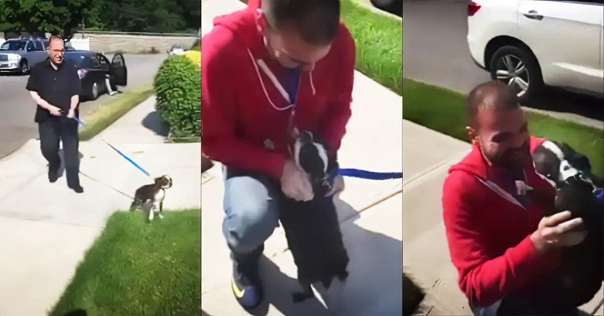 lost dog reunited