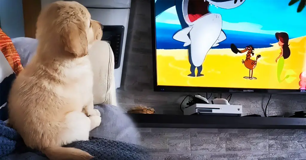 puppy loves cartoons