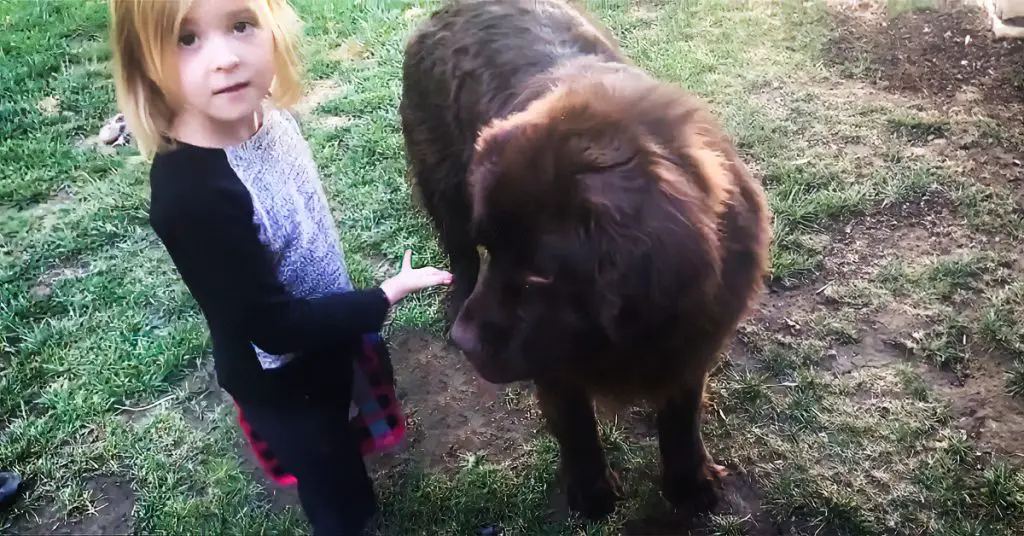 girl defends her dog