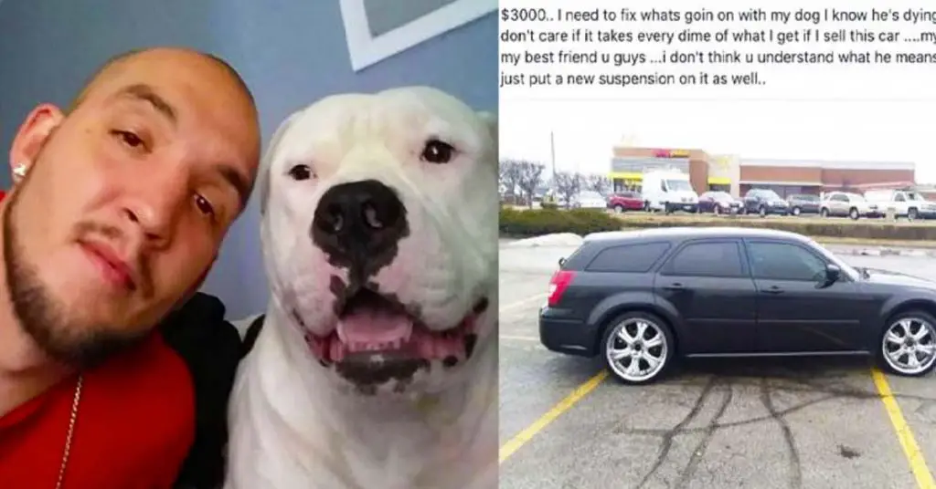 man sells car for dog