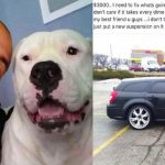 man sells car for dog