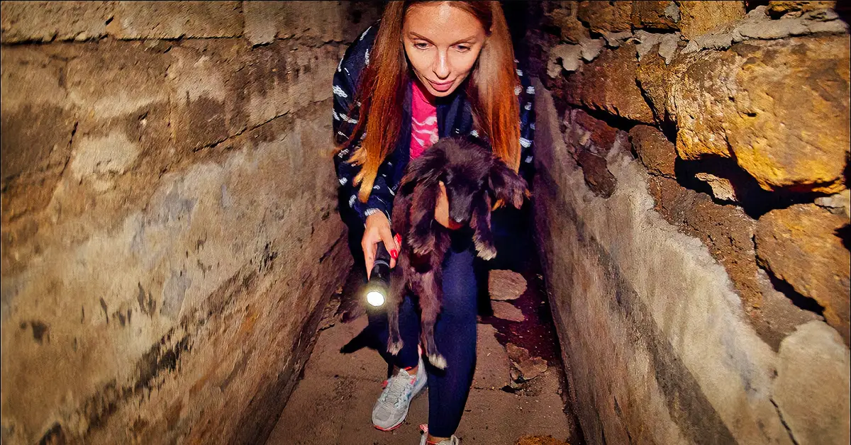 puppy is rescued
