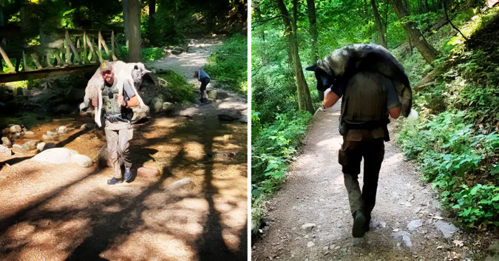 park ranger saves dog