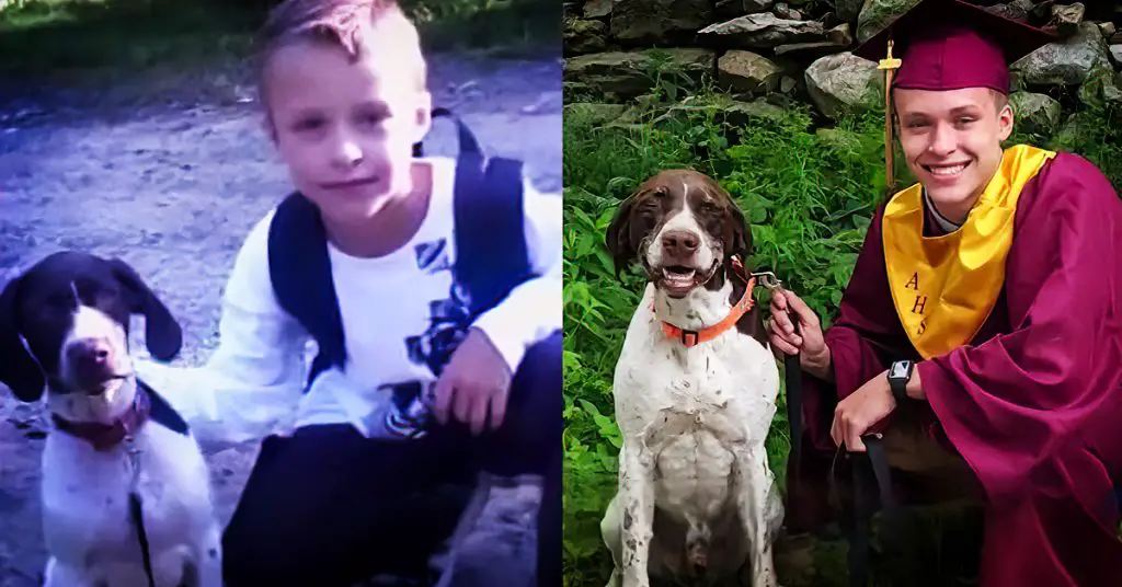 boy and dog grow up together