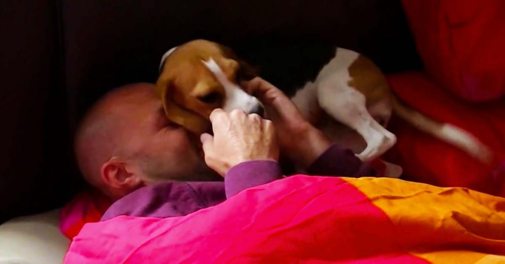 beagle reunited with dad