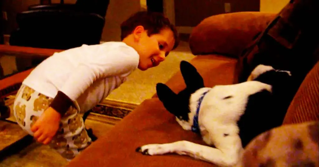 boy sings to dog