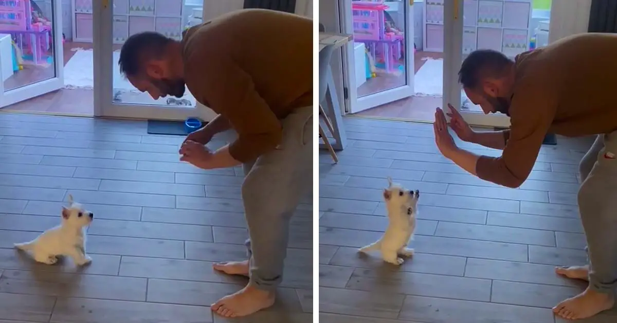 dad with puppy