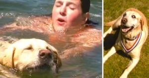 dog rescues drowning girl
