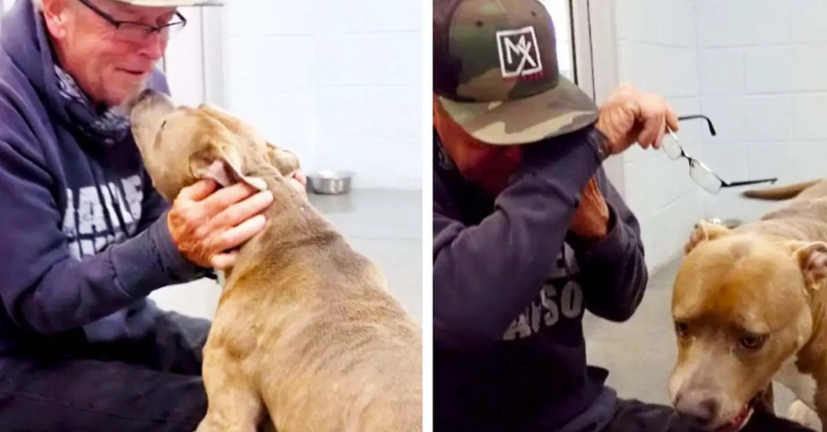 Dog Can’t Believe His Dad Finally Found Him After 200 Days