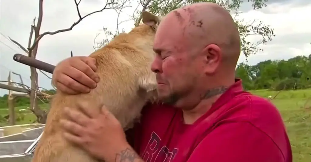 dog reunites after tornado