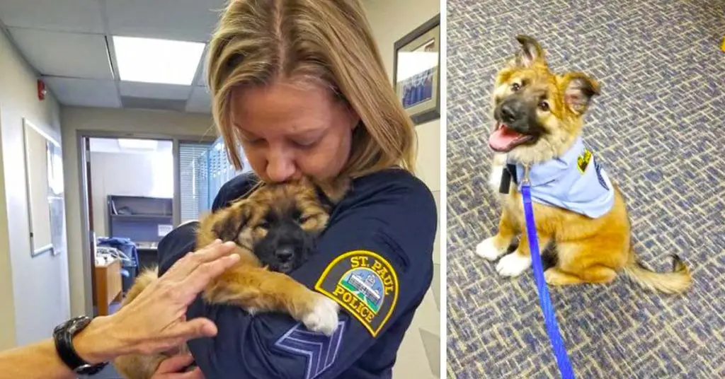 police therapy dog