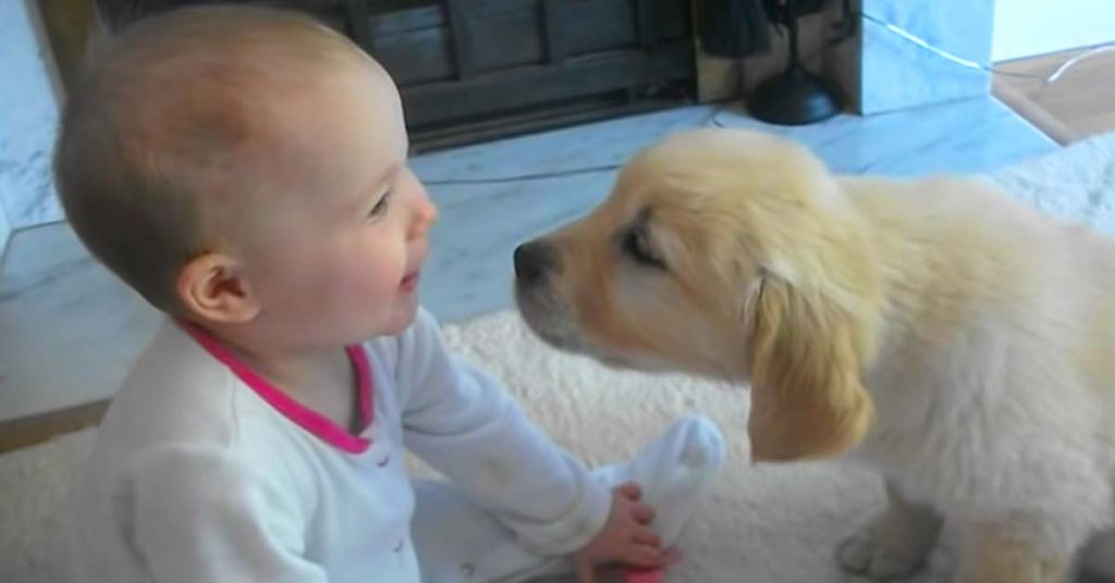 puppy meets baby