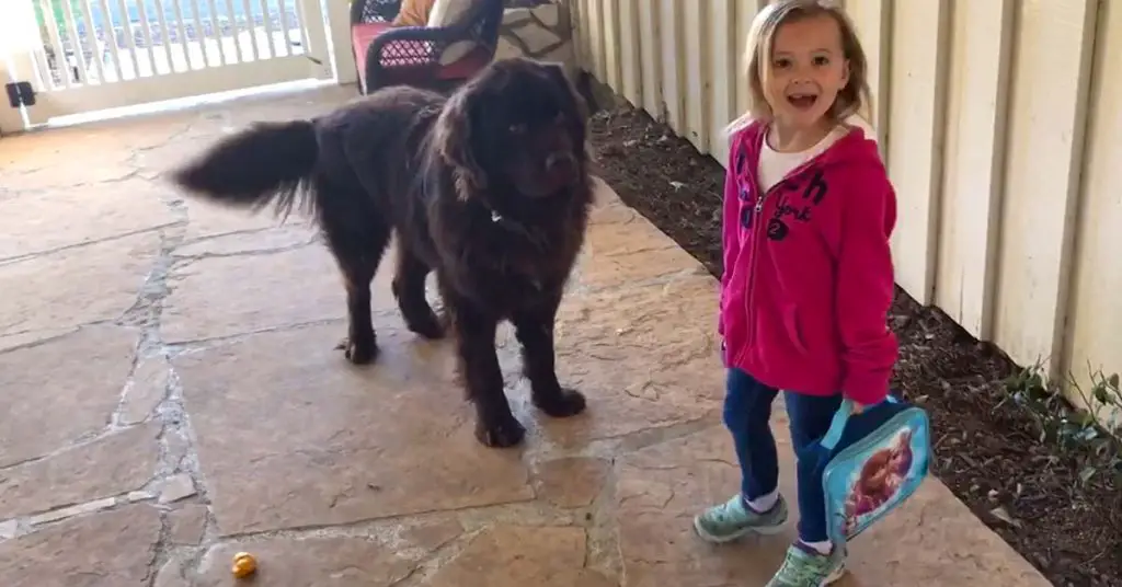 girl says goodbye to dog