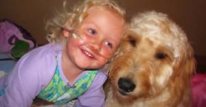 toddler with service dog